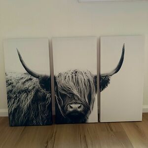 Longhorn Canvas